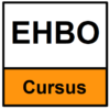EHBO cursus code 95